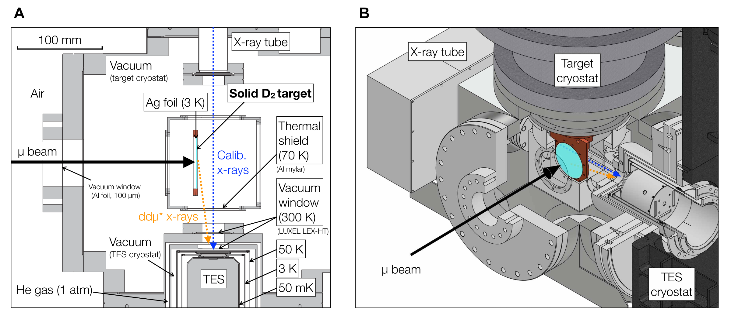Experimental setup diagram for the muon-catalysed fusion measurement, showing a cross-sectional target chamber with a muon beam stopped in a solid deuterium target and a schematic view of the target cryostat, X-ray tube, and TES detector.
